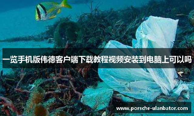 一览手机版伟德客户端下载教程视频安装到电脑上可以吗